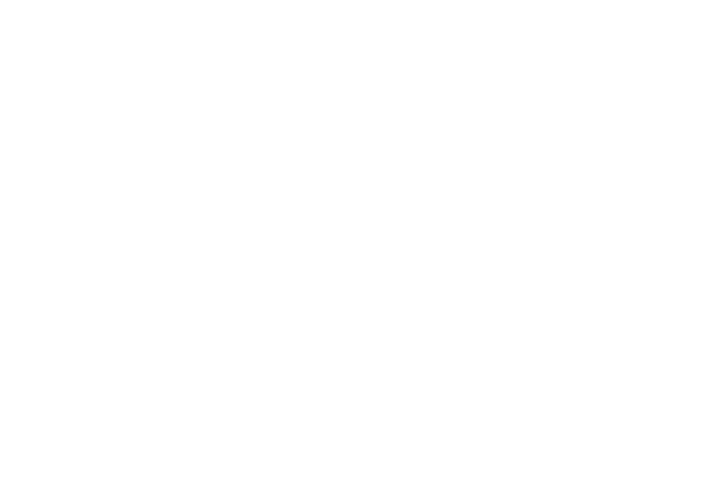 filament-panels::layout.logo.alt